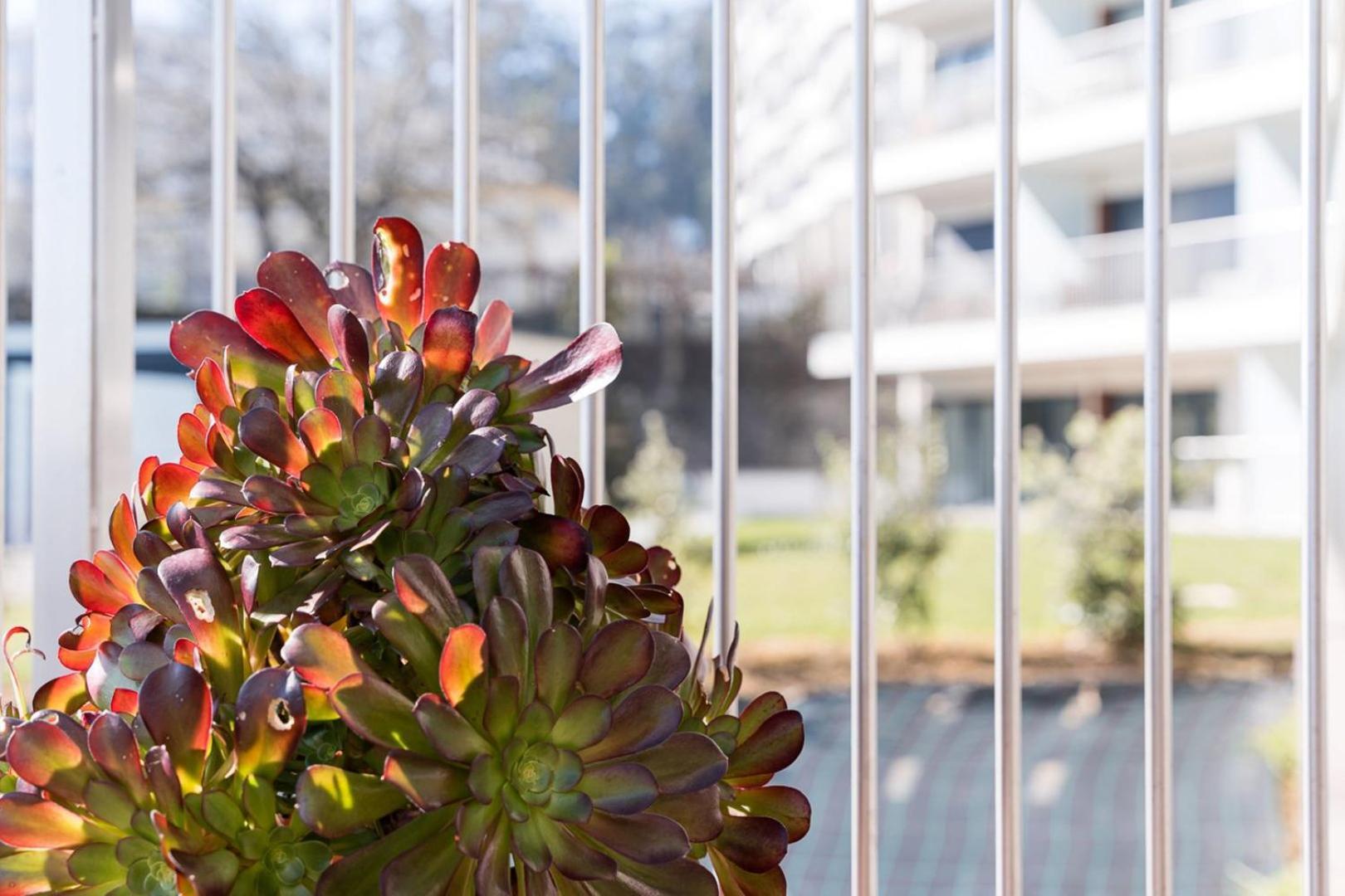 Guestready - Ideal Stay Near Estadio Do Dragao Porto Buitenkant foto